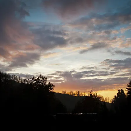 Tiny House Nature 15 - Tiny Village Harz בית נופש