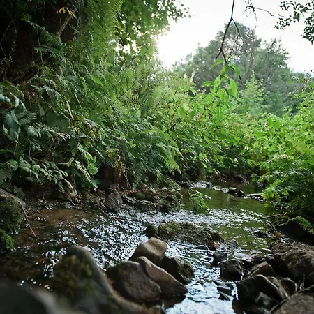 Tiny House Nature 15 - Tiny Village Harz * Osterode am Harz