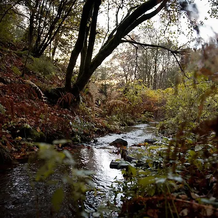בית נופש Tiny House Nature 15 - Tiny Village Harz *
